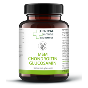 Braune Flasche mit schwarzem Verschluss, beschriftet mit MSM Chondroitin Glucosamin, lactose- und glutenfrei.